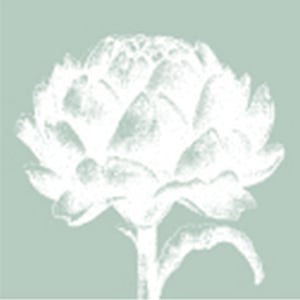 Profile picture for Artichoke Trust