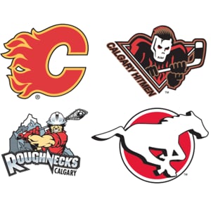 Profile picture for Calgary Sports & Entertainment