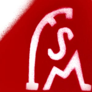 Profile picture for FSM