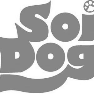 Profile picture for Soi Dog Foundation