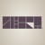 Zebra_Studio