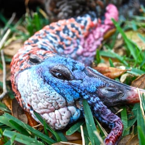 Profile picture for Massey Outdoors
