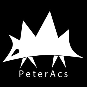 Profile picture for Peter Acs