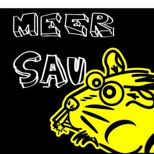 Profile picture for MeerSAU