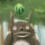 Shiroki