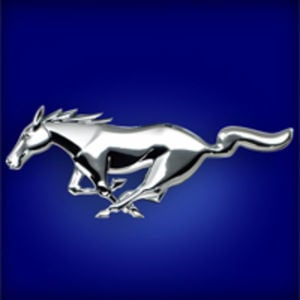 Profile picture for Morris Levy
