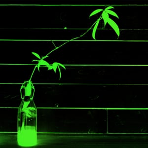Profile picture for Plantage Berlin
