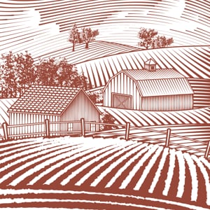Profile picture for Agrilicious.org