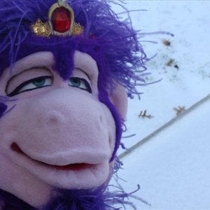 Profile picture for Fungineers