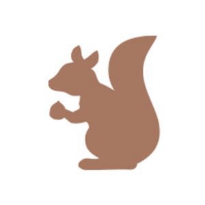 Profile picture for nutcracker_concepts