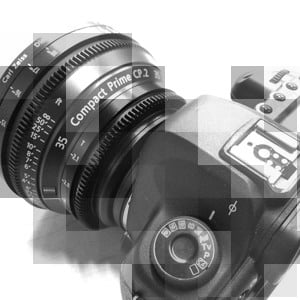 Profile picture for Sid Levin