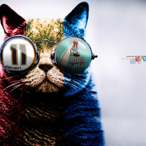 Profile picture for 11elevenfixed
