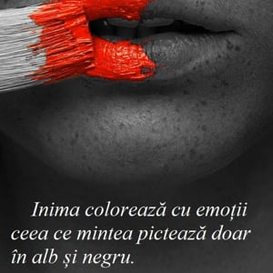 Profile picture for ionela flavia