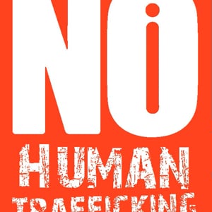 Profile picture for The NO Project