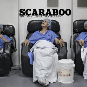 Profile picture for Scaraboo