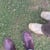 FourFeetFilms