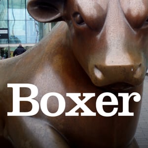 Profile picture for Boxer Brand Design
