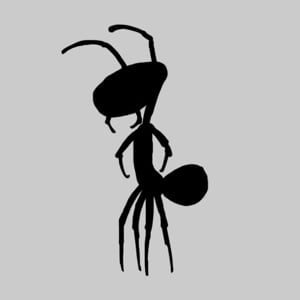 Profile picture for david cherrin