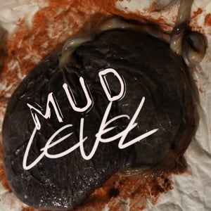 Profile picture for mudlevel
