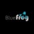 bluefrog studio