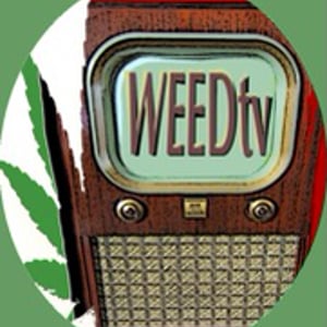 Profile picture for WEEDtv