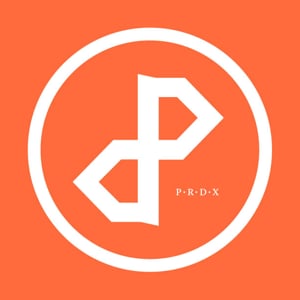 Profile picture for The Paradox Church