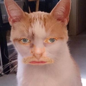 Profile picture for Tim Barber