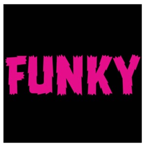 Profile picture for FUNKY SNOWBOARDS