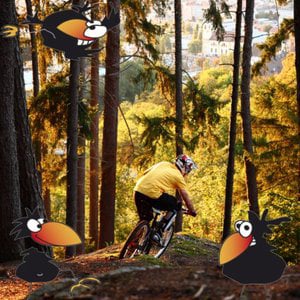 Profile picture for Stephan Happ Photo/Video