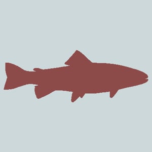 Profile picture for The Duluth Scene