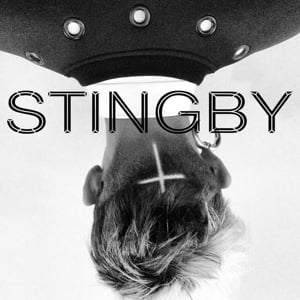 Profile picture for Stingby