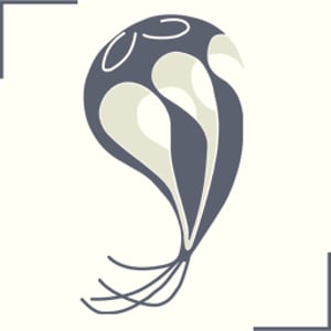 Profile picture for seph.li