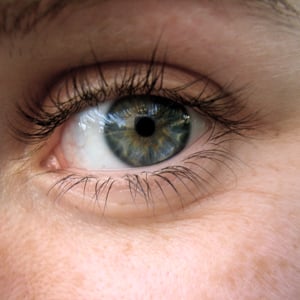 Profile picture for Inga Seliverstova