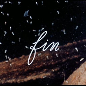 Profile picture for sida oui
