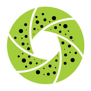 Profile picture for Kiwi Filmes