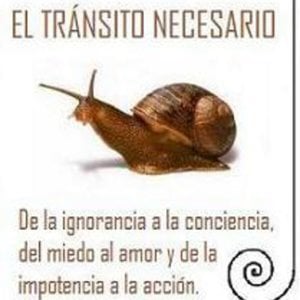 Profile picture for El Tránsito Necesario