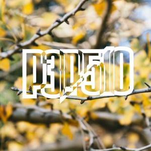 Profile picture for P3P510