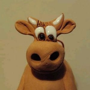 Profile picture for Guillaume Galuz