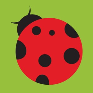 Profile picture for Siter.com