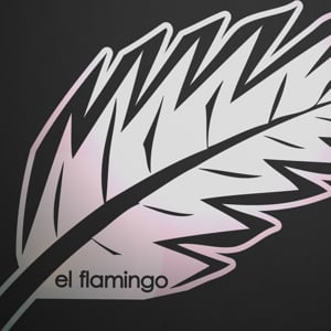 Profile picture for El Flamingo Films