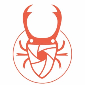 Profile picture for Beetle Prod