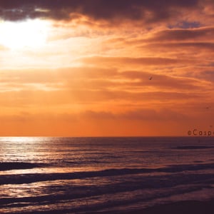 Profile picture for Caspar Leuzinger