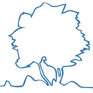 Profile picture for Wouter van den Hoogen
