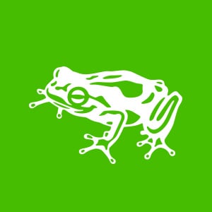 Profile picture for frog