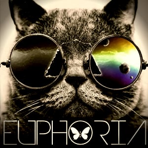 Profile picture for EUPHORIAeventi