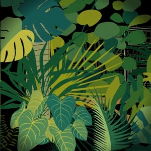 Profile picture for Jane Jones