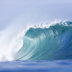 Profile picture for World Pro Surfers