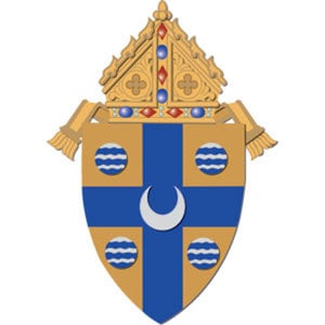 Profile picture for Diocese of Springfield in IL