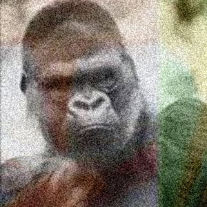 Profile picture for Arthur Jeanroy