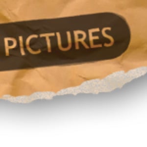 Profile picture for Words Become Pictures